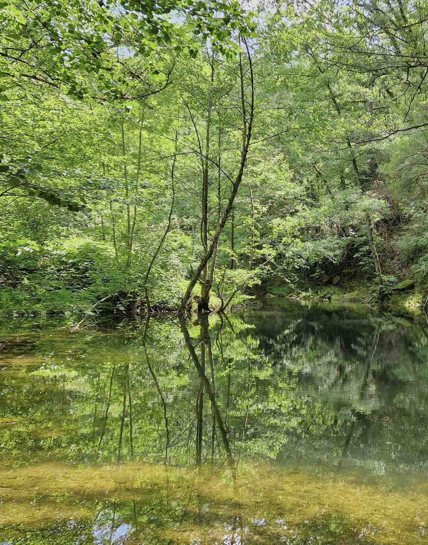 Gagnières, La Rivière