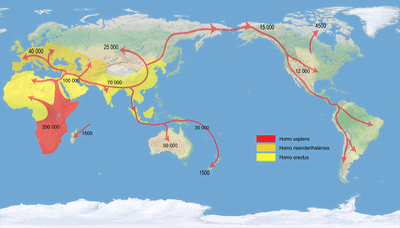 Patterson human migrations