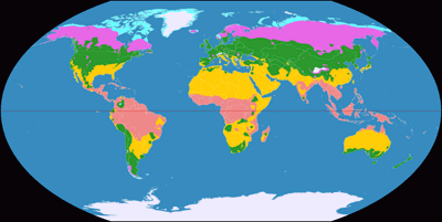 Wagner VI climatic map