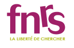 INSA Lyon