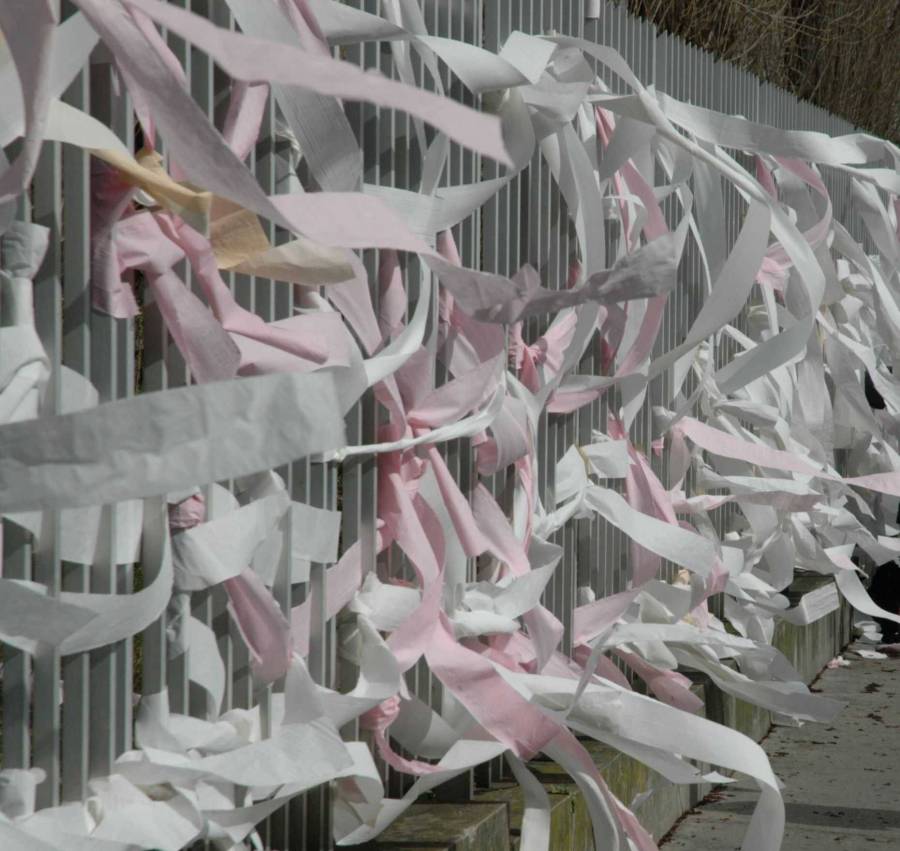 dsc_0128.jpg dsc_0128.jpg