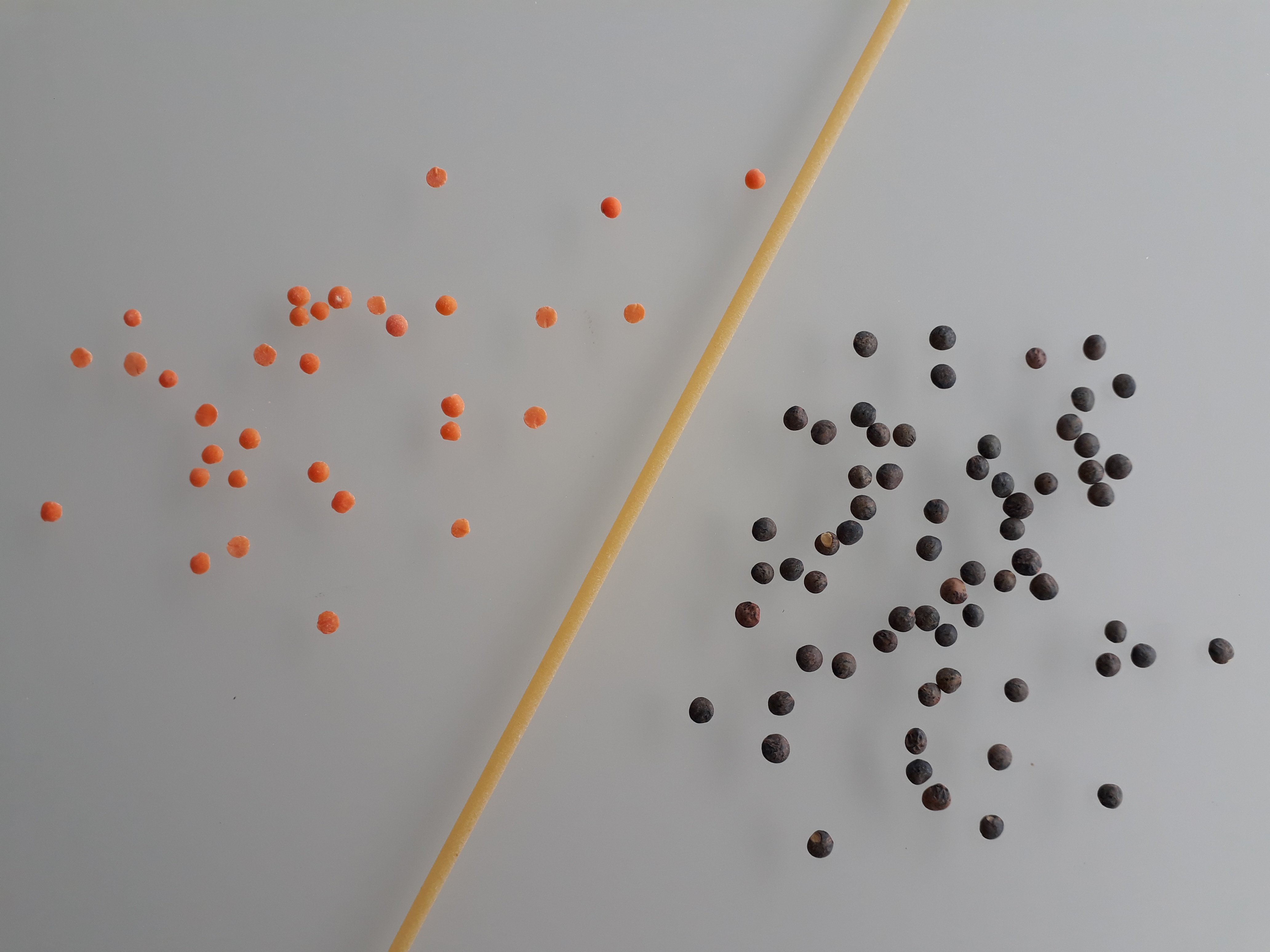 lentilles vertes et lentilles corail séparées par une droite